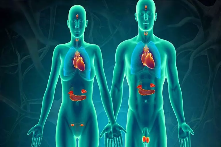 لیست پزشکان فوق تخصص غدد،رشد و متابولیسم در کرج