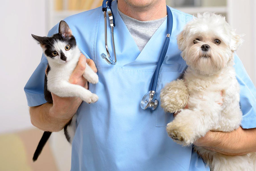 لیست کلینیک های دامپزشکی و پت شاپ های کرج